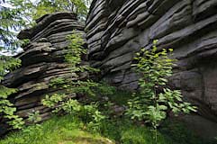 Rudolfstein - Zum Vergroessern klicken!